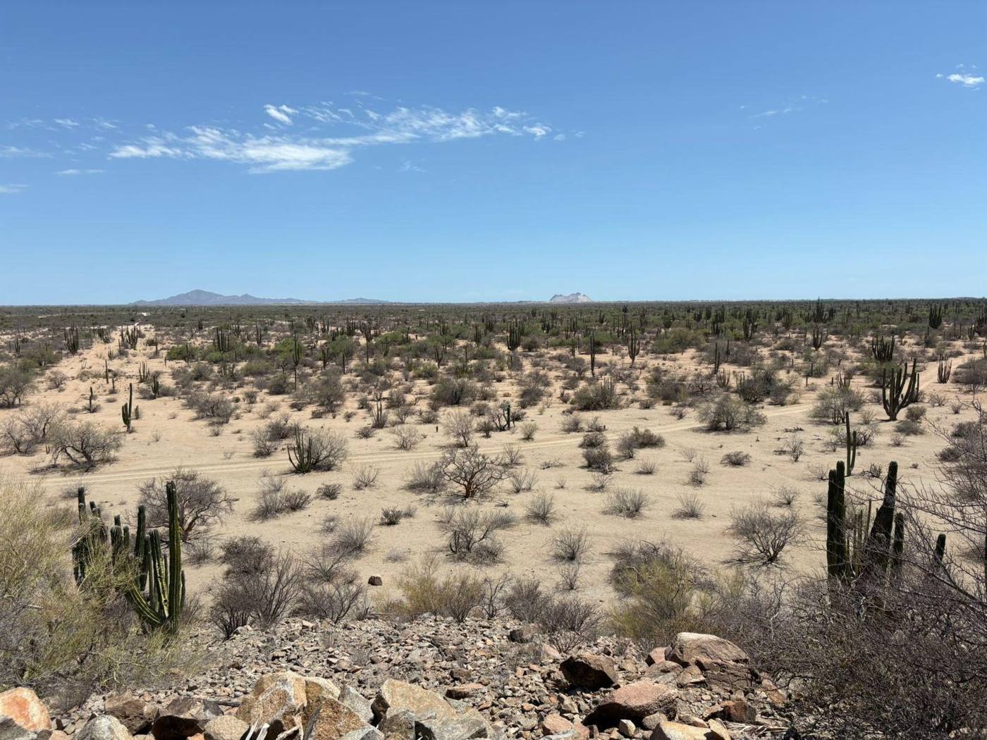 Wide desert vista across the Bahía de Kino property toward the mountains